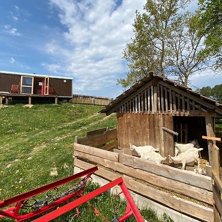 Hotel Maringotka Na Samote Na Kozi Farme Pobezovice Exterior foto